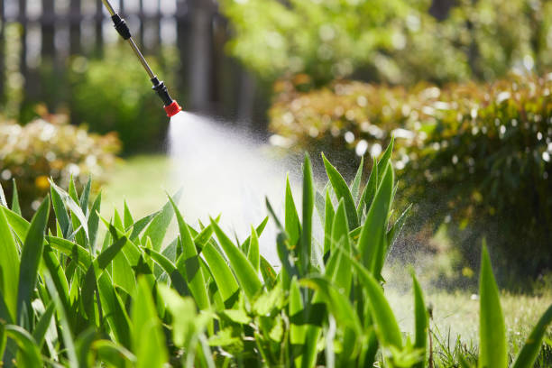24/7 Emergency Wasp Removal experts in Ferndale, MI