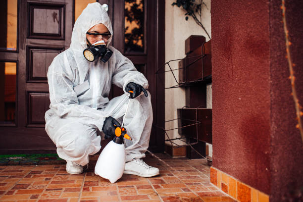 Reliable Wasp Removal contractor in Ferndale, MI by Show Me Pest Control